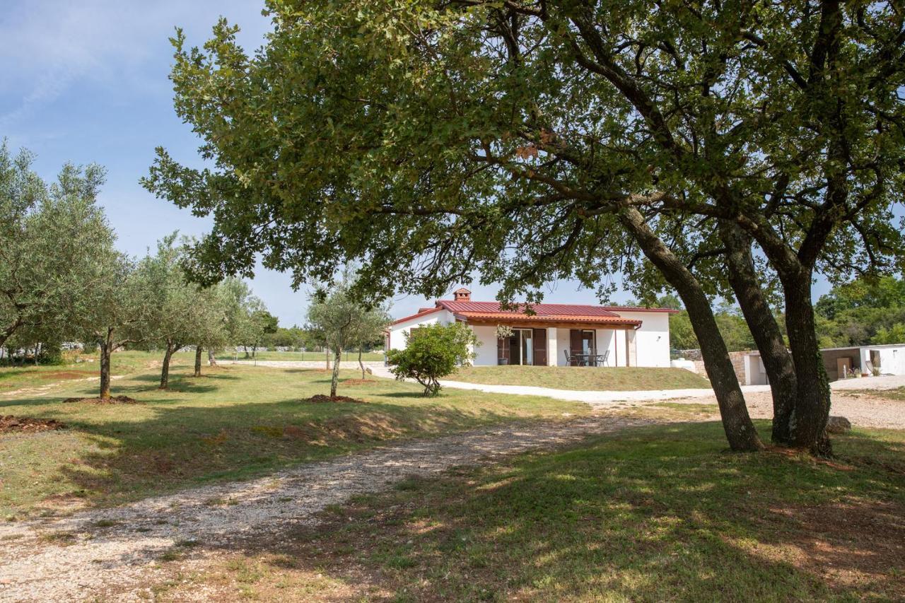Casa Grazia Βίλα Ρόβινι Εξωτερικό φωτογραφία